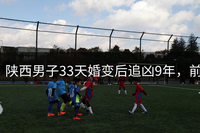 陕西男子33天婚变后追凶9年，前妻诈骗数百万终获重刑
